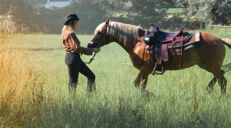 Man shot ex-girlfriend's horse