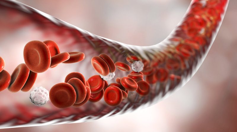 sorbent for blood purification