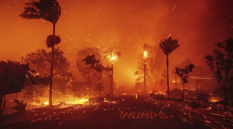 Los Angeles wildfires